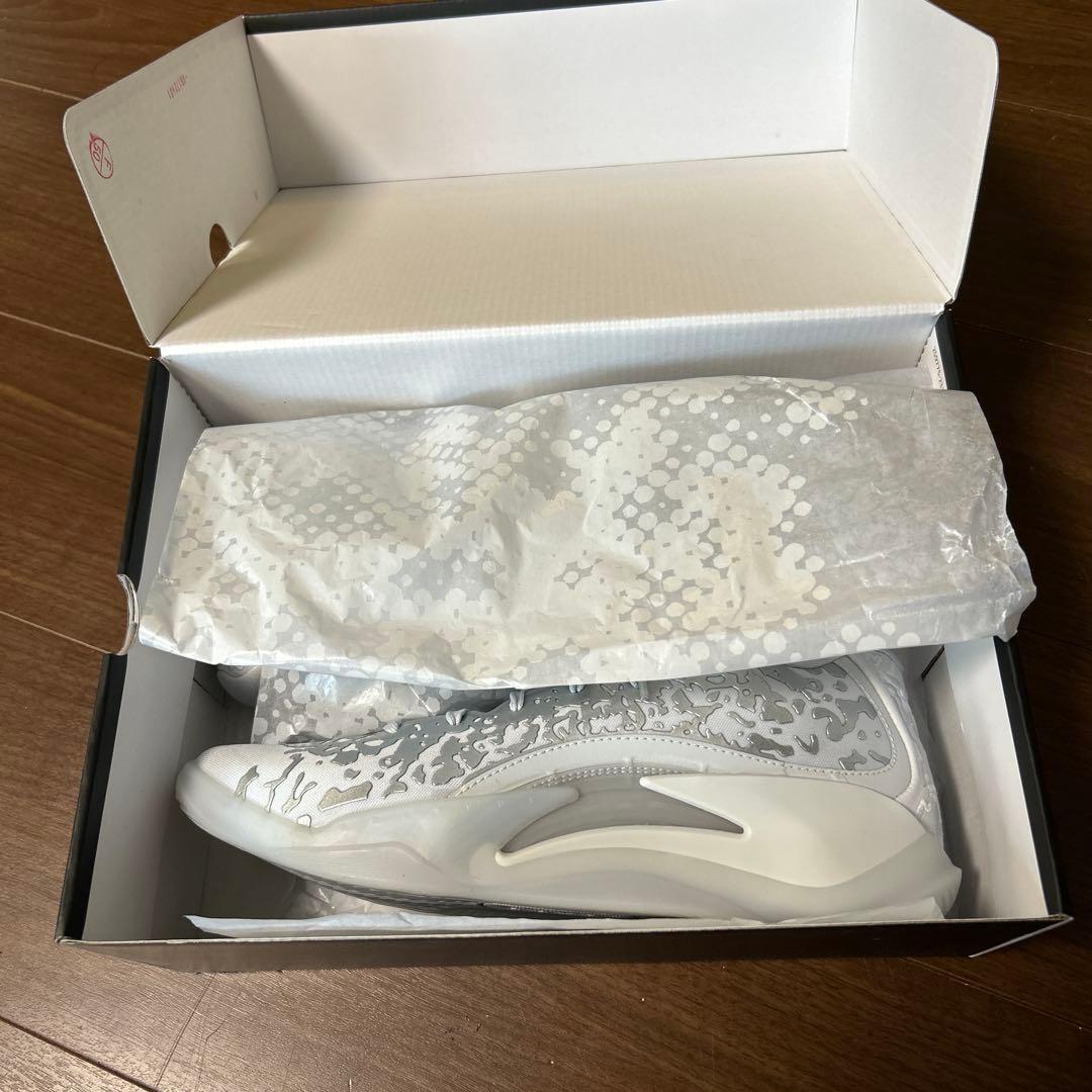 新品❗️NIKEジョーダン　ザイオン3PF liquid l