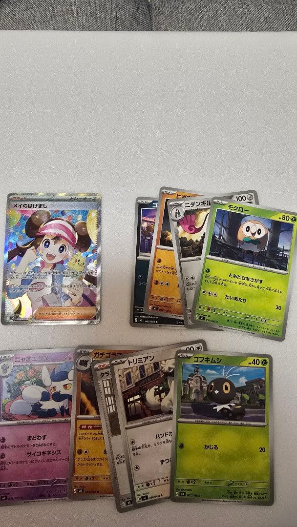 メイのはげまし　SAR　その他