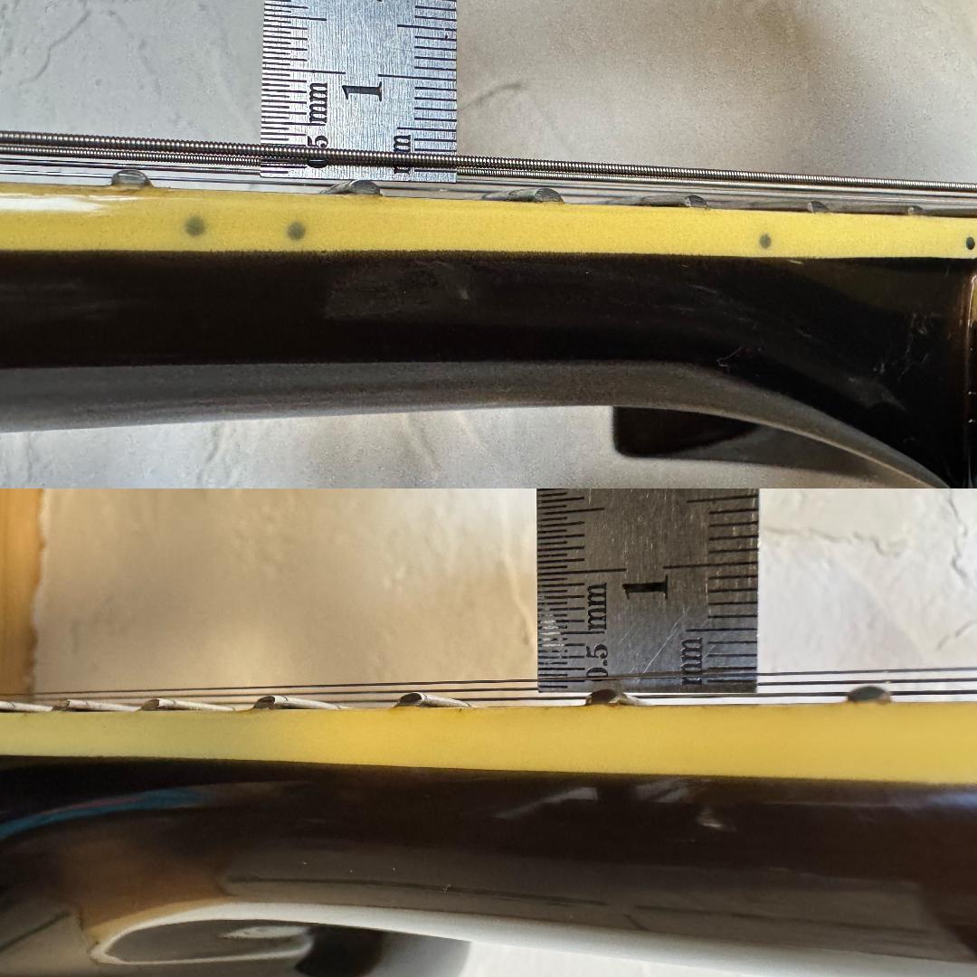 Aria Pro II PE-e 美品 新品弦 張替済