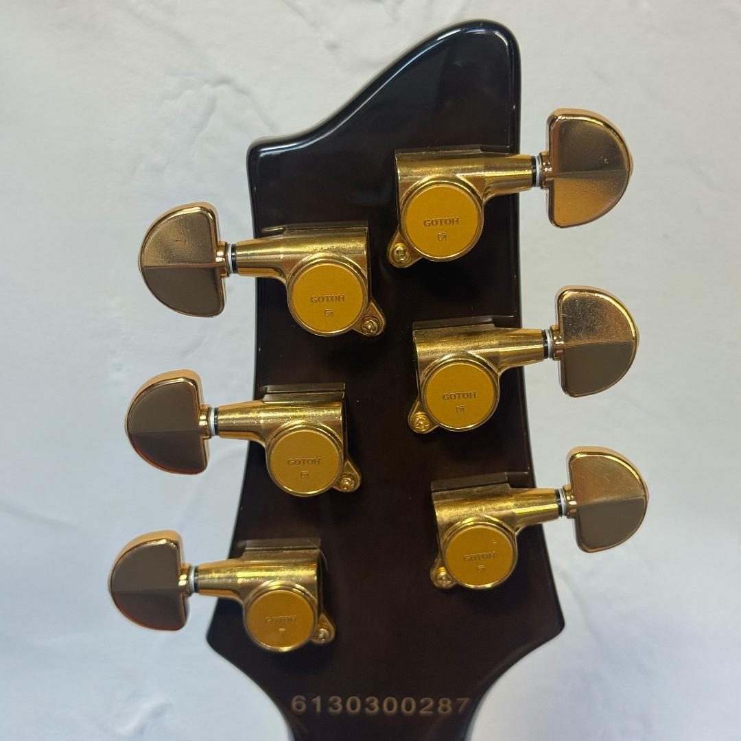 Aria Pro II PE-e 美品 新品弦 張替済