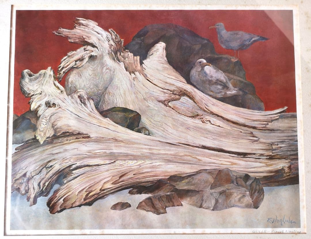 【リトグラフ】アーネスト・R・ノーリング　流木のある太平洋岸北西部の海岸のカモメ