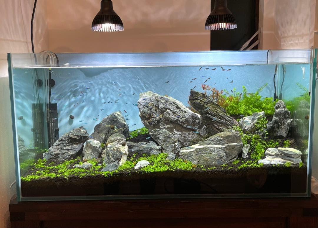 ヤマカワADA 青龍石　龍王石　青華石　清流石　セット