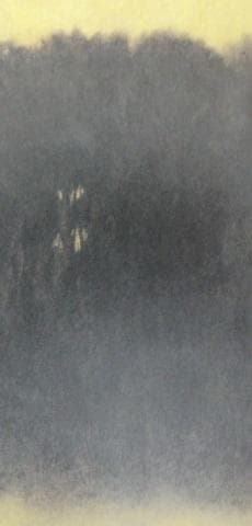 鈴木竹柏、【燦燦】、希少な額装用画集より、新品額装付