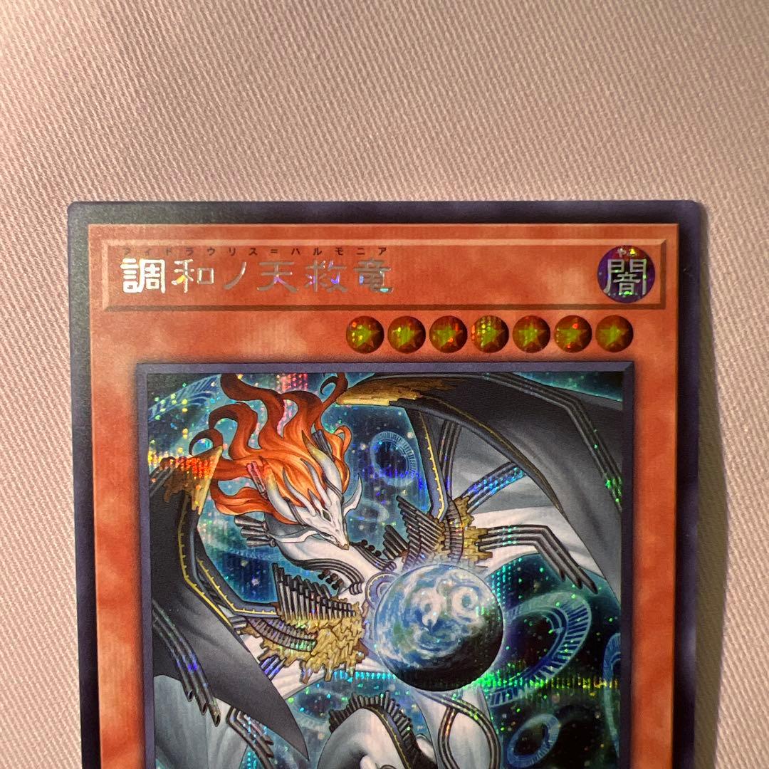 調和ノ天救竜　シク