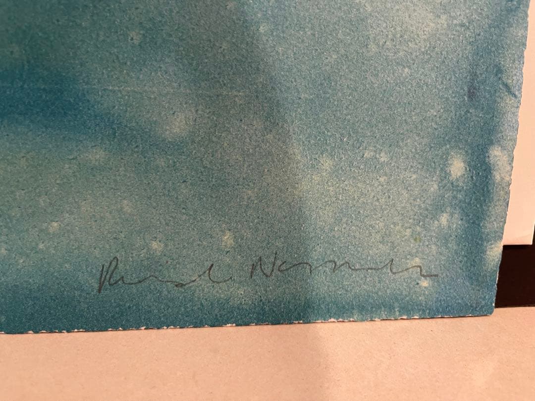 ロザリンド・ナシャシビ 40部限定 リトグラフ 版画