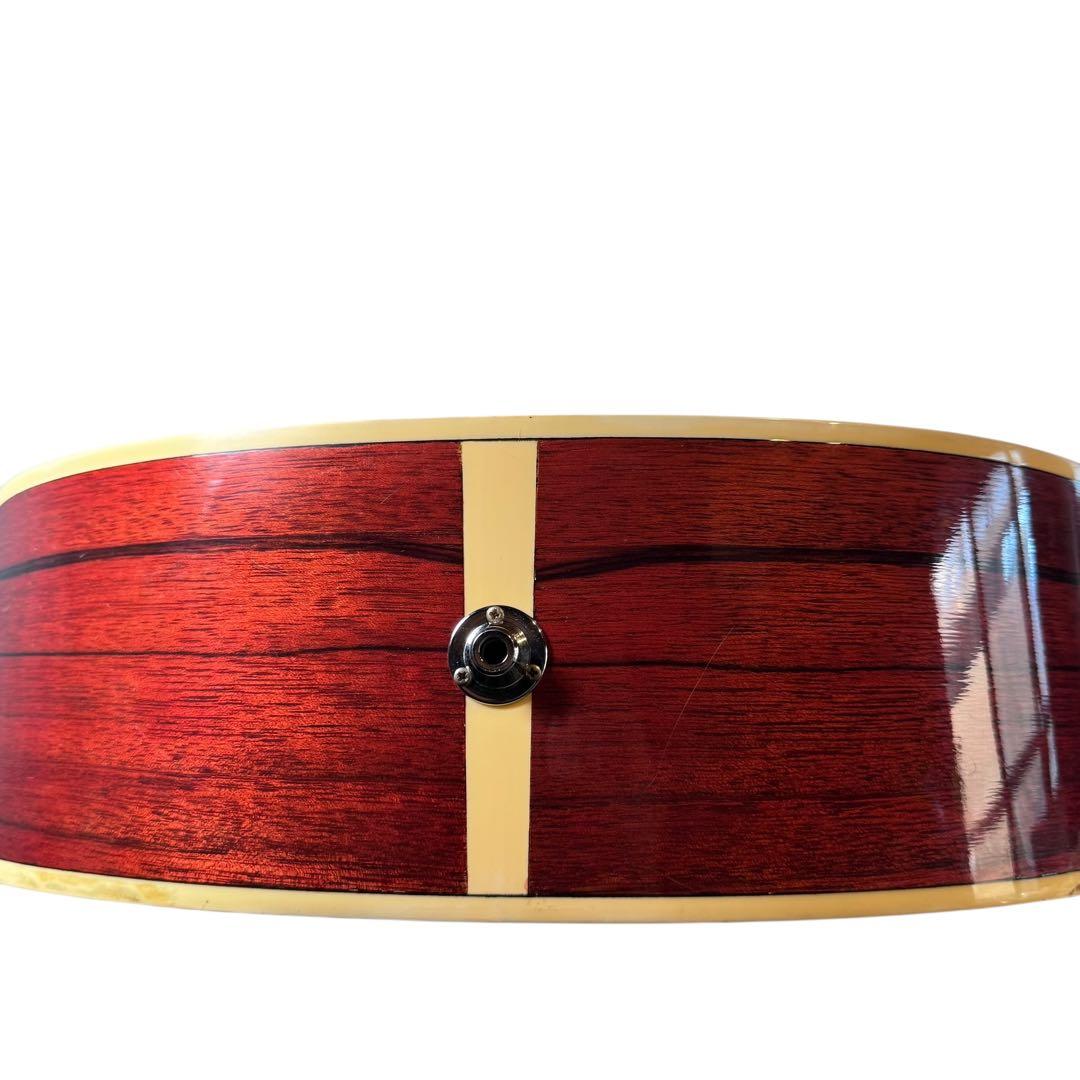 【希少】Aria FEB-02 エレアコベース ELECORD