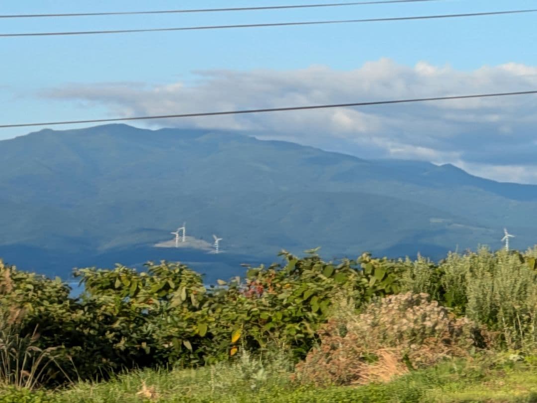 ❴北海道❵道の駅ピンズゴールドピンズ2024年版 ✪99種類✪早い物勝ち✨