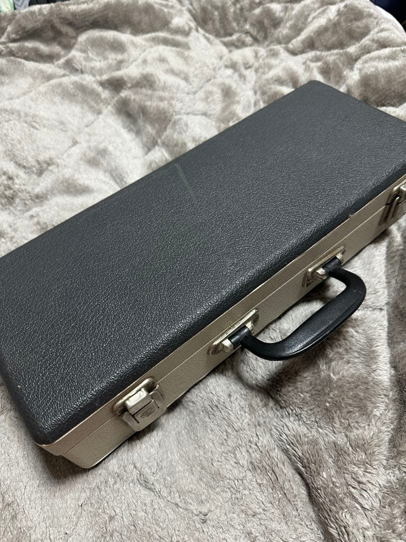 Julius Rudolph A管 アルバート式 クラリネット ケース付き