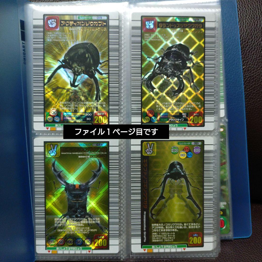 ❀昆虫トレーディングカード セット（５９枚）になります