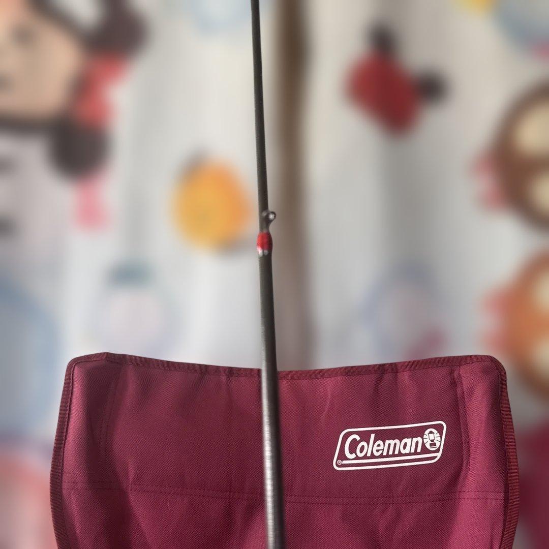 最終価格‼️TEBEN LiteSpin DC左、コンパクトロッドセット