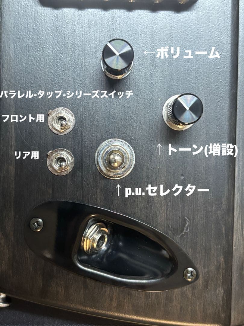 EDWARDS KARMASTER MOD.（ステンレスフレット交換）