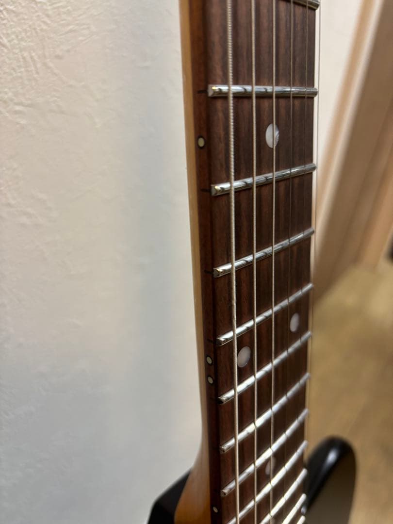 EDWARDS KARMASTER MOD.（ステンレスフレット交換）