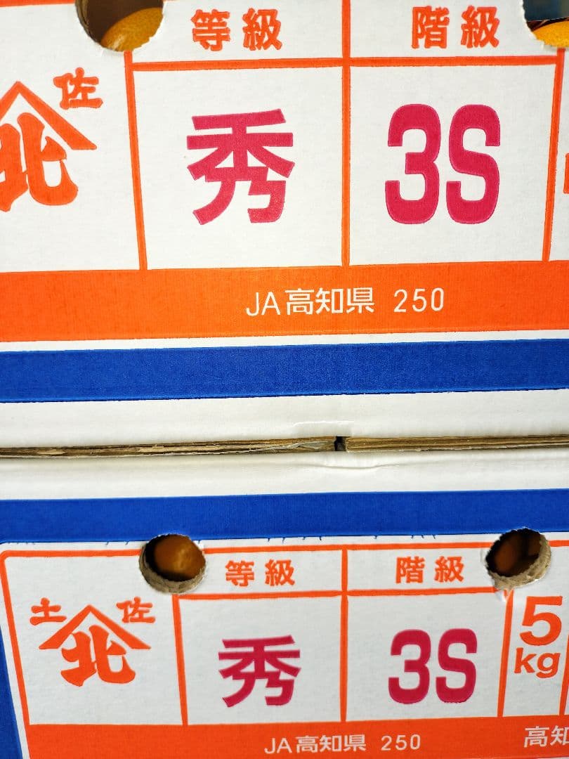 高知産　約１０ｋｇ　露地山北みかん　２Ｓ３Ｓ　秀品　北海道沖縄発送不可