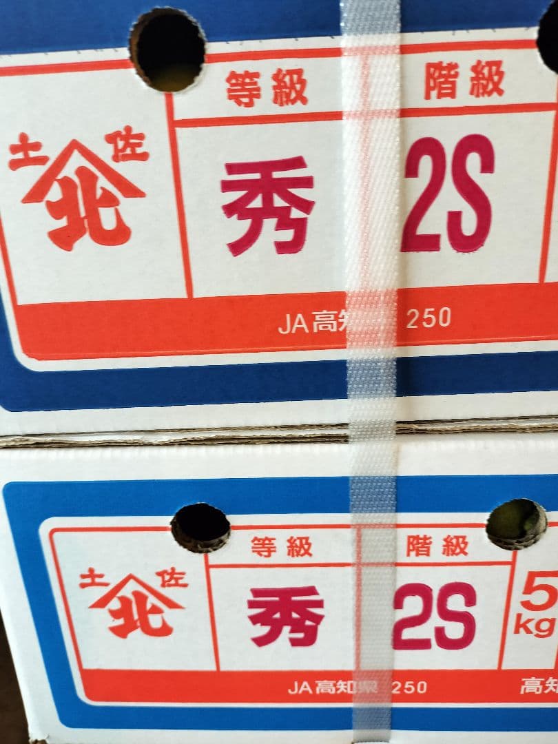 高知産　約１０ｋｇ　露地山北みかん　２Ｓ３Ｓ　秀品　北海道沖縄発送不可