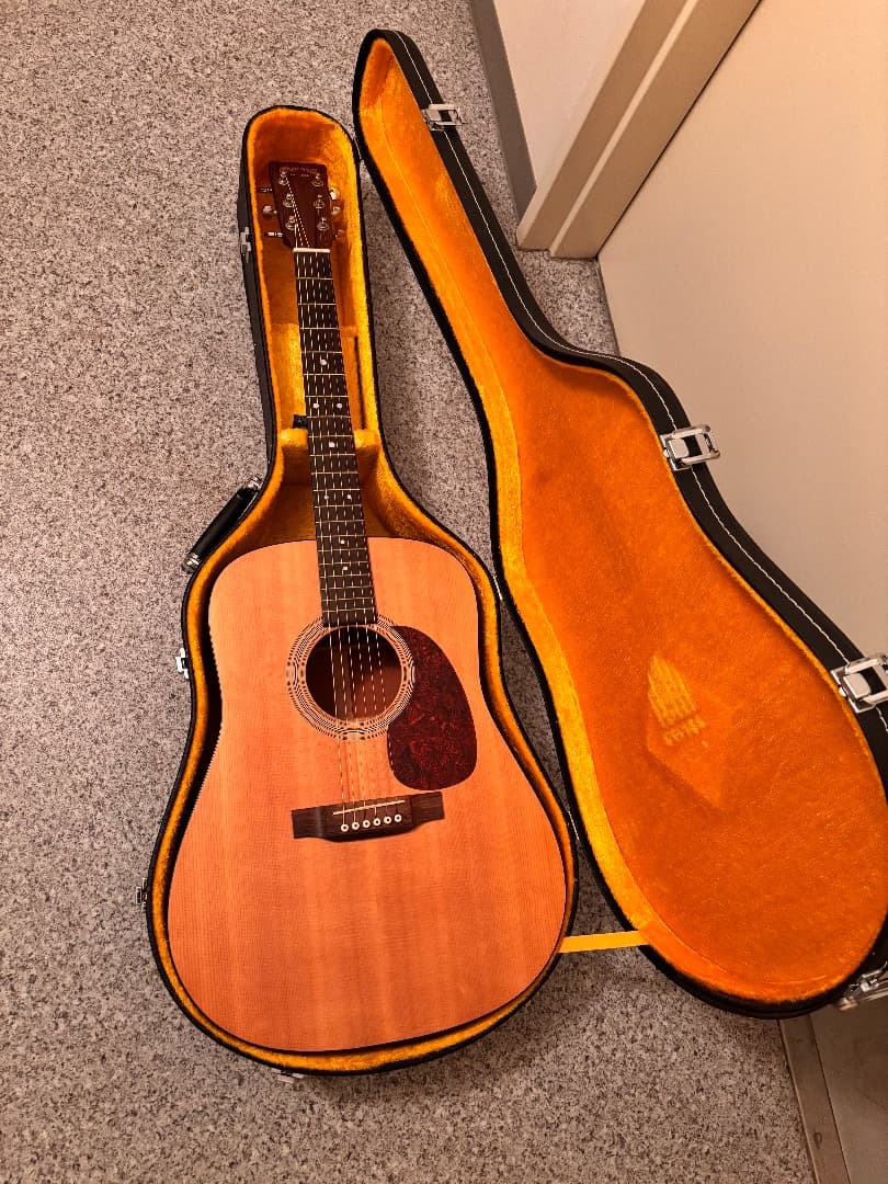 ギター Martin D-1