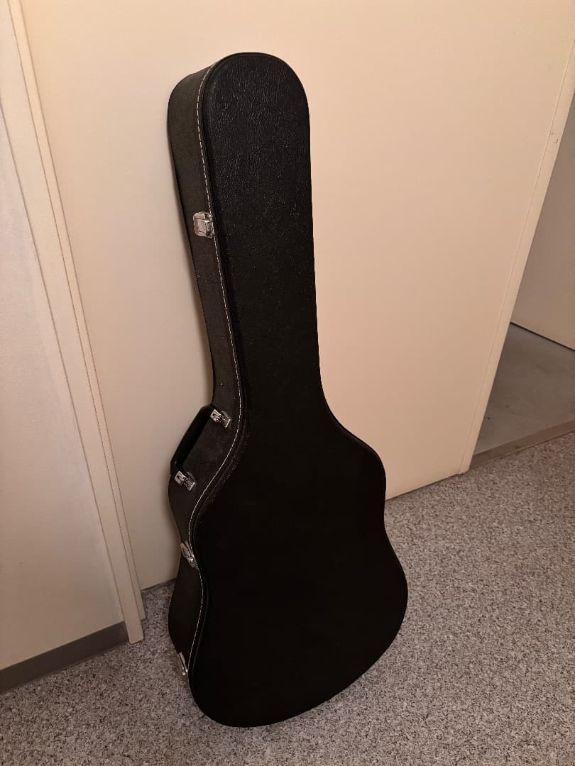 ギター Martin D-1