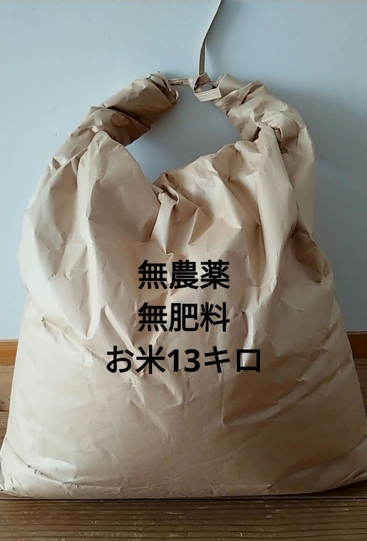 【15時までセール】無農薬お米　13キロ　無肥料　令和7年収穫　玄米