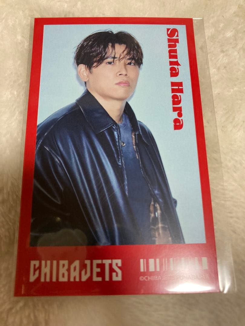 千葉ジェッツ　ミニフォトカード