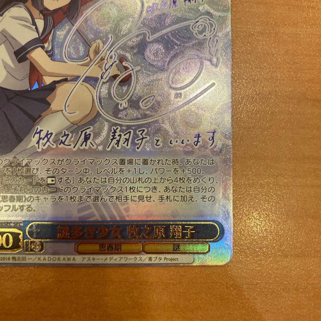 謎多き少女　牧之原 翔子 sec