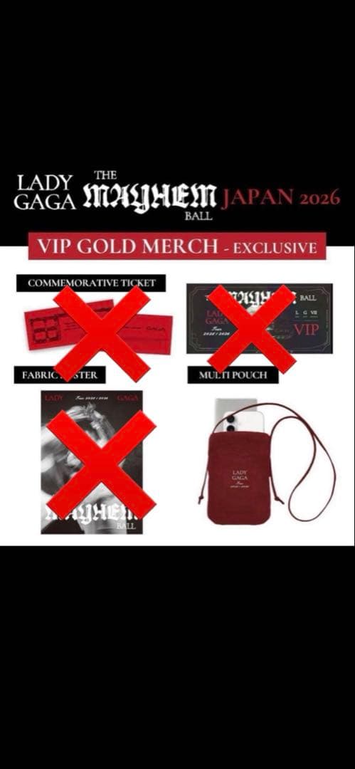 I*o様 レディーガガ　ポーチ