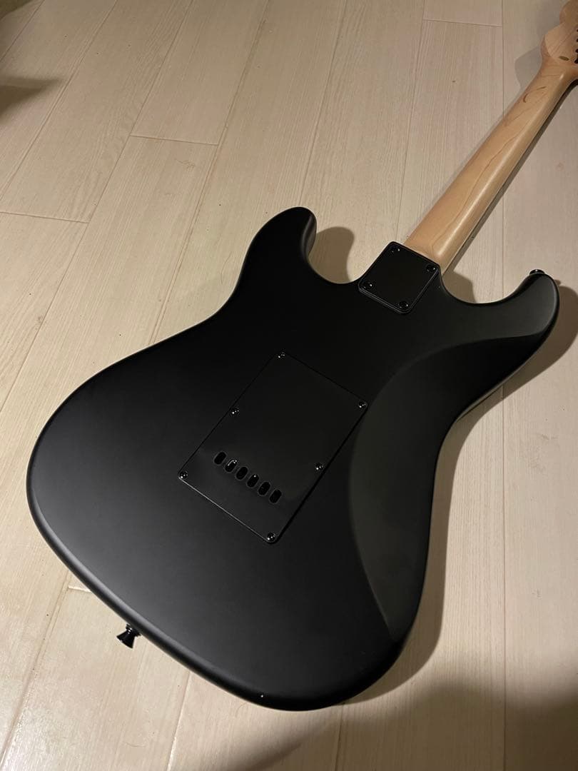 SELDER エレキギター マットブラック