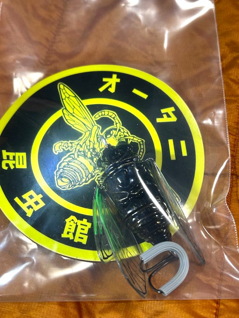 ★新品未使用品‼️オータニ昆虫館SEMI ・セミ★入手難※希少★