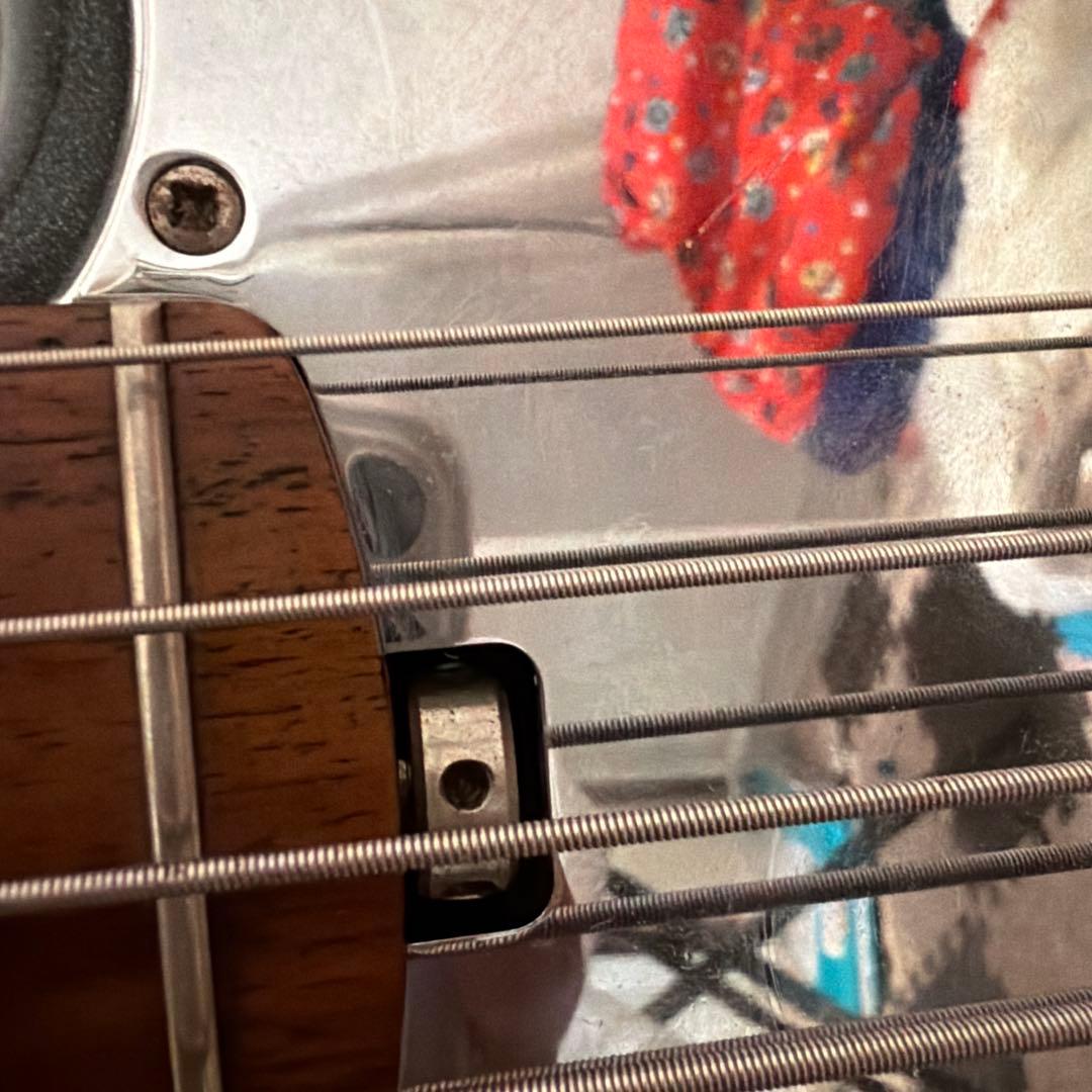 値段下げ中‼️Ibanez ATK305 5弦