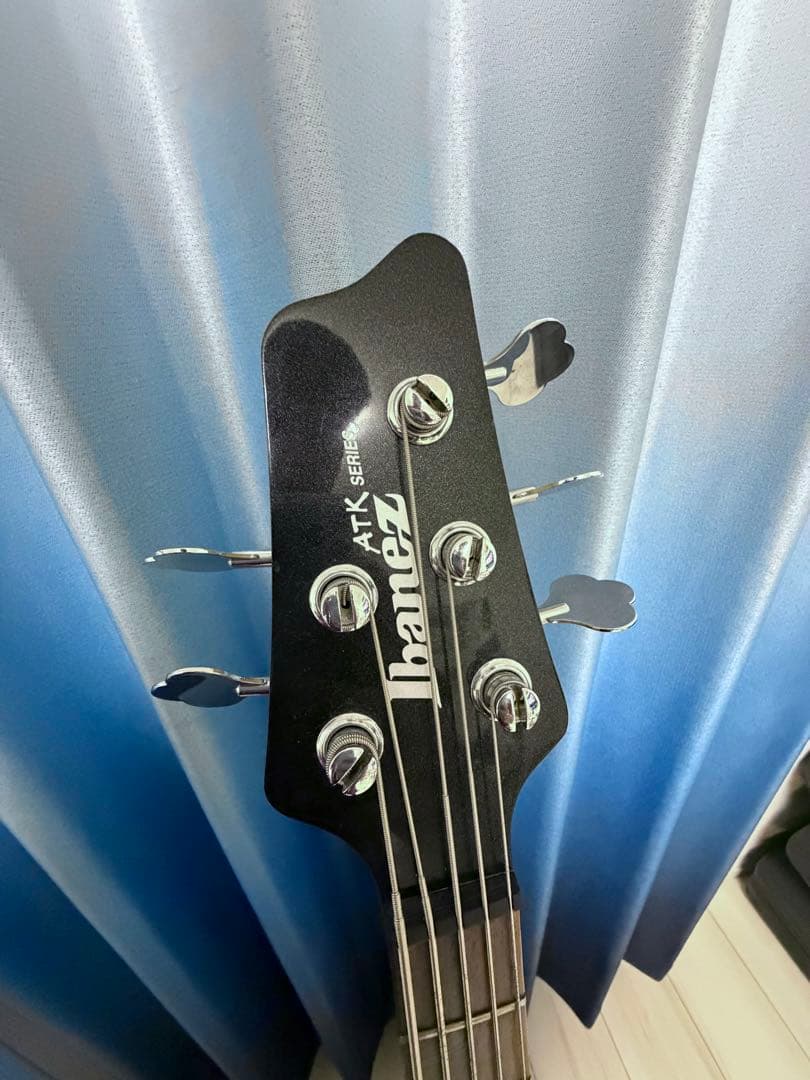 値段下げ中‼️Ibanez ATK305 5弦