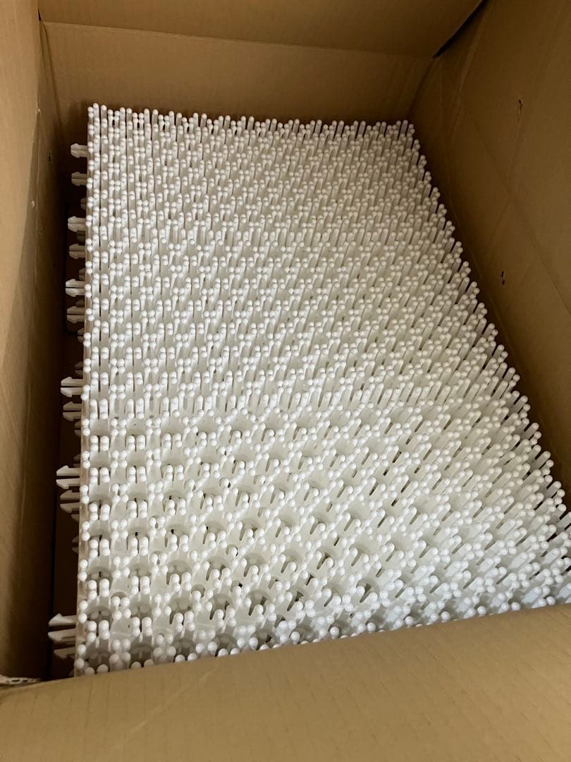 シバカツ トライセット（12枚）