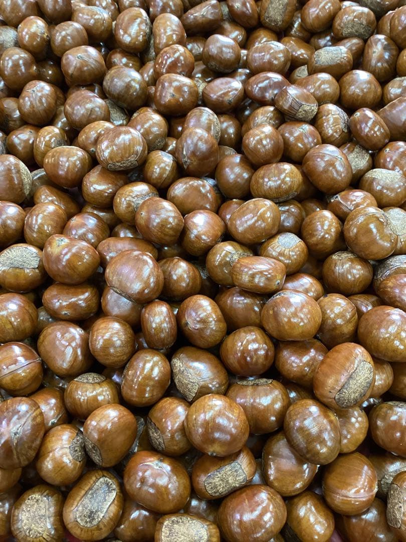 【ウッピー】　　ビックサイズ‼️焼きたて‼️天津甘栗5キロ入り