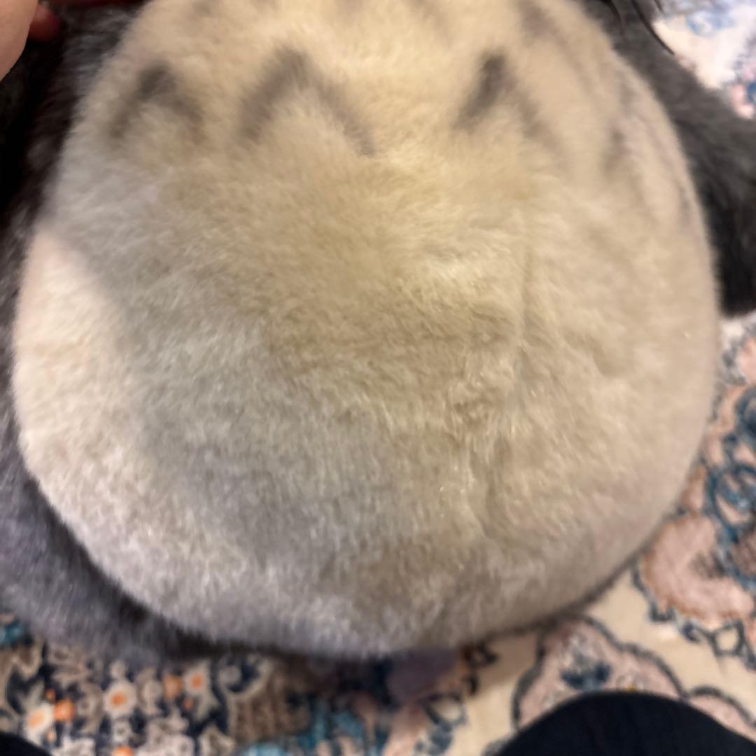 【レア】となりのトトロ ぬいぐるみ　 特大 丸い