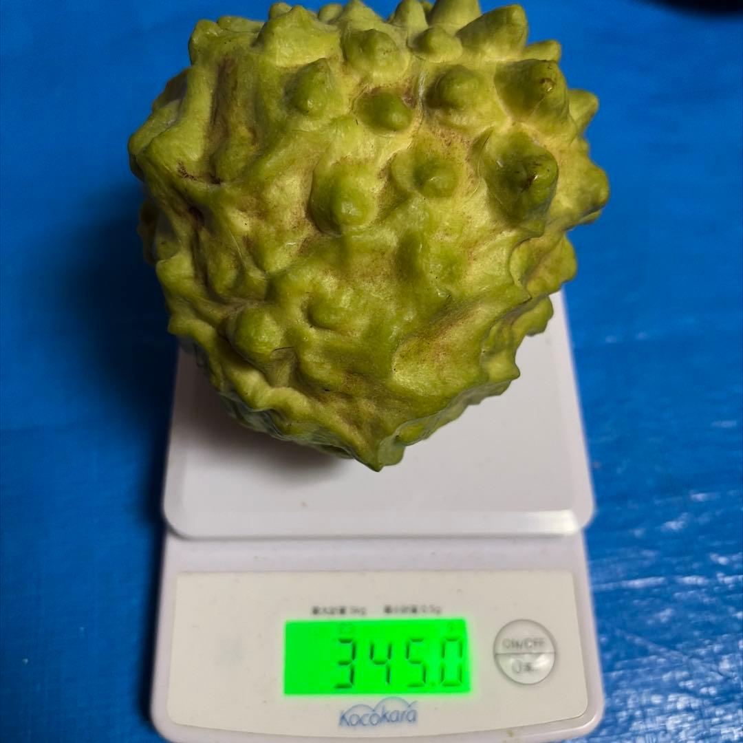 箱番号１　A級アテモヤ2199g 8136円