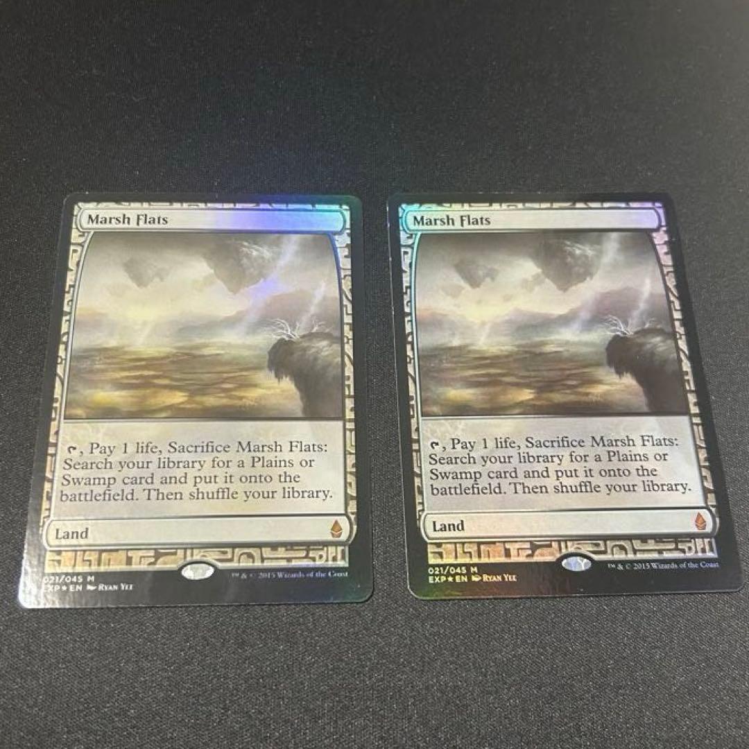 【2枚セット】湿地の干潟_FOIL_EXP