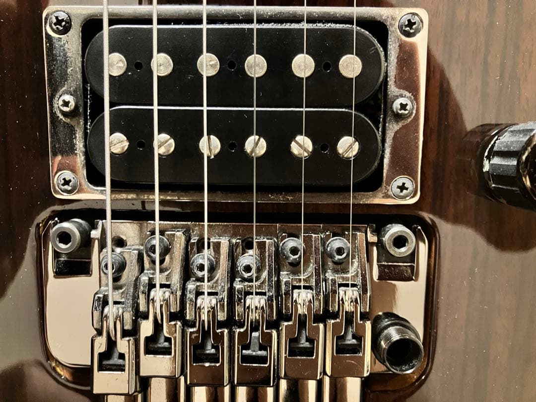 【即購入OK】Ibanez PREMIUM S970WRW