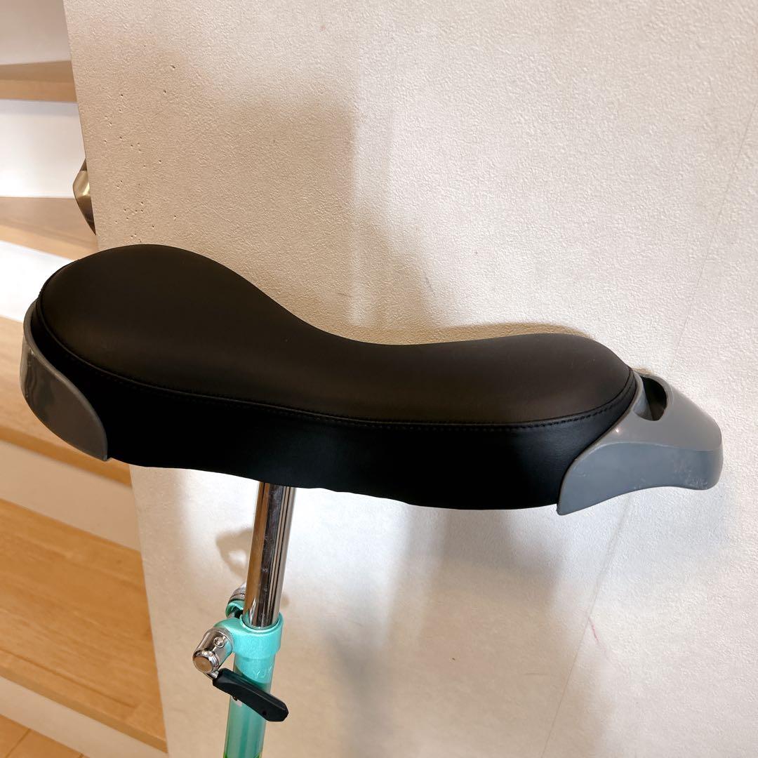 miyata フラミンゴ 一輪車 24インチ 日本一輪車協会認定品