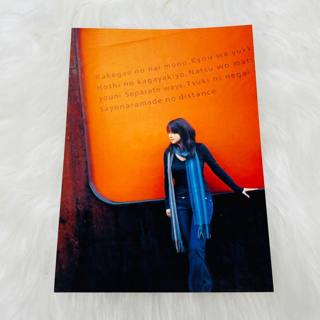 ZARD 限定マフラー 君とのDistance Screen harmony