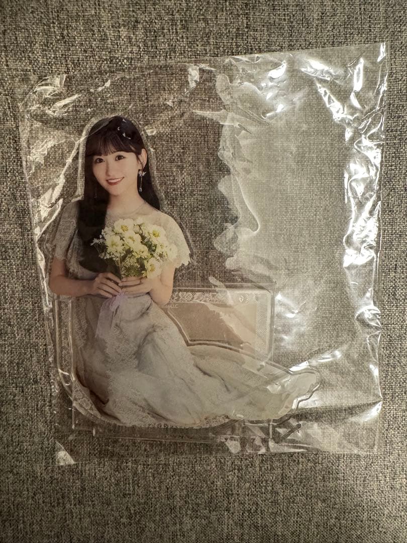 ライブ会場限定 乃木坂46 のぎめくり S賞BIGアクリルスタンド 一ノ瀬美空