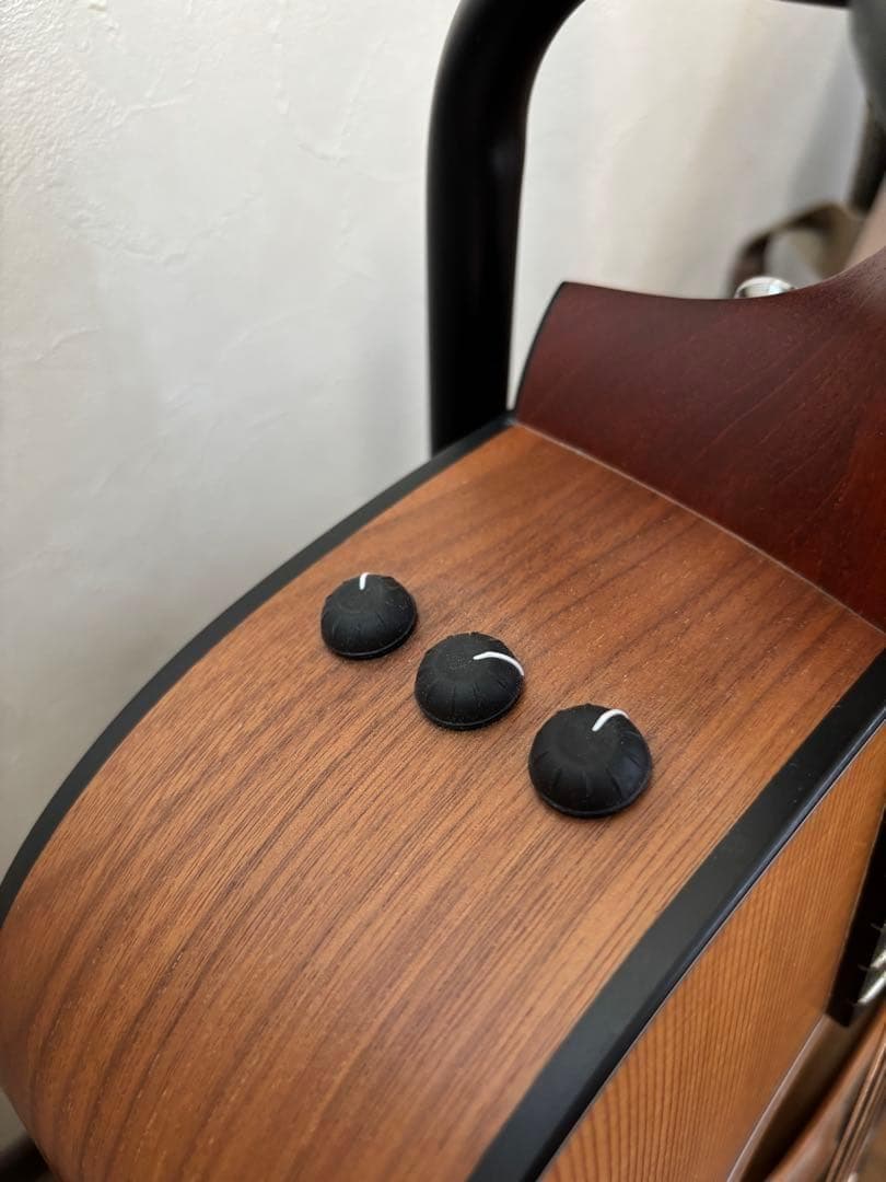 【美品】Taylor 110ce エレアコ 2018年製造