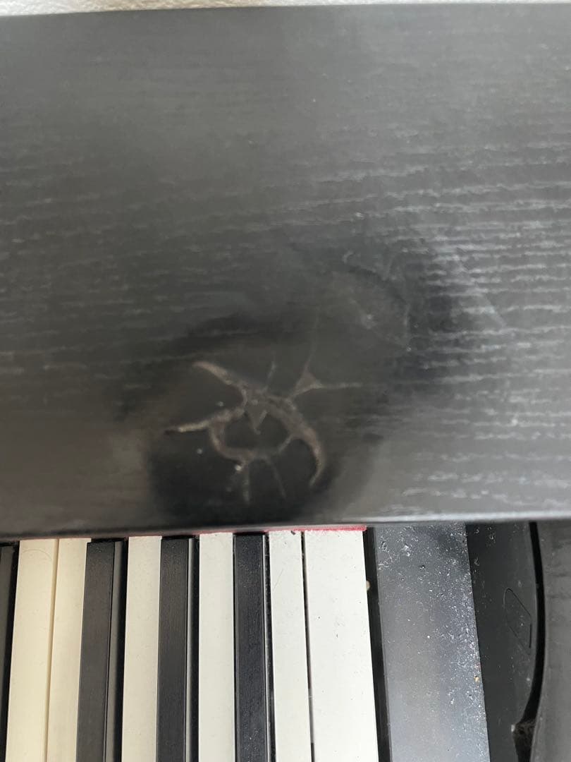 鍵盤楽器 CASIO Privia PX750