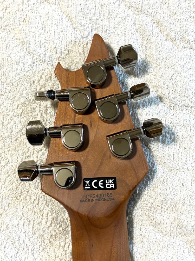 EVH Wolfgang WG Standard QM ★アップグレード