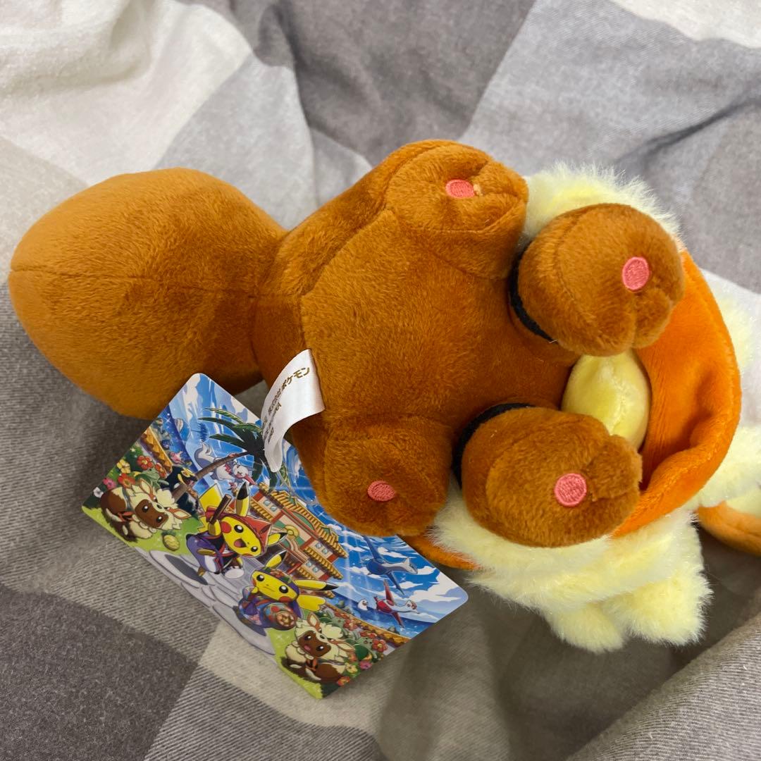 ウィンディポンチョのイーブイ　ノーマル　ぬいぐるみ　ポケモンセンター　沖縄　限定