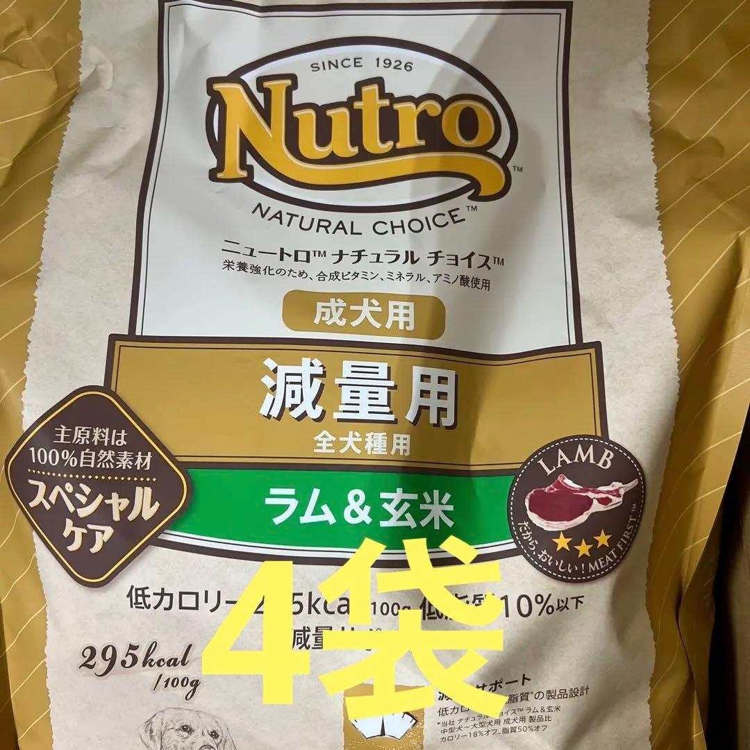 ジャスト2万円！Nutro ナチュラルチョイス 全犬種用 成犬用 4kg×4
