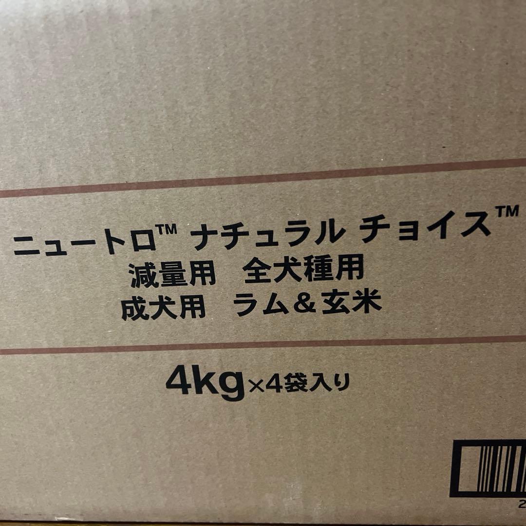 ジャスト2万円！Nutro ナチュラルチョイス 全犬種用 成犬用 4kg×4