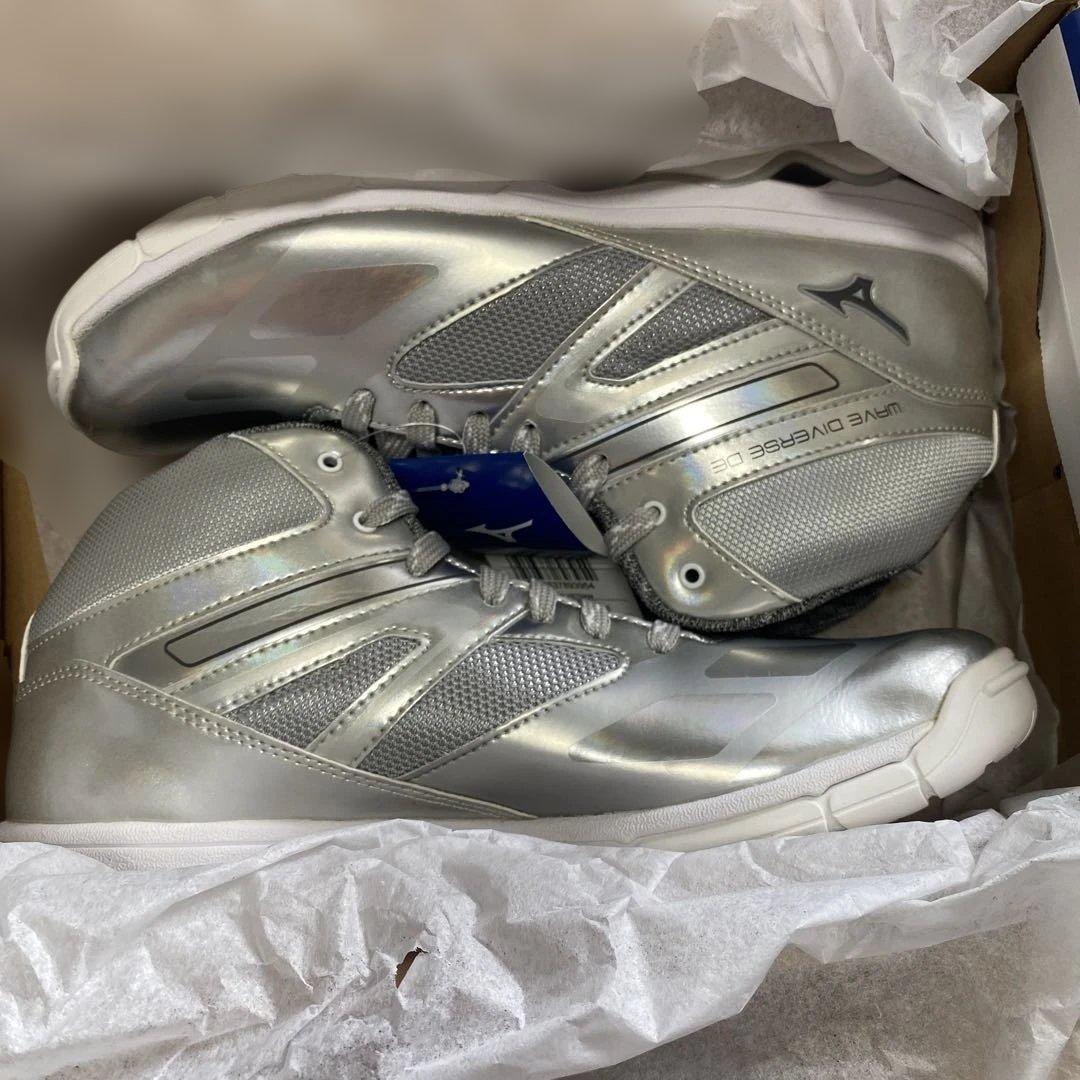 Mizuno ウェーブダイバース DE 27.0cm シルバー