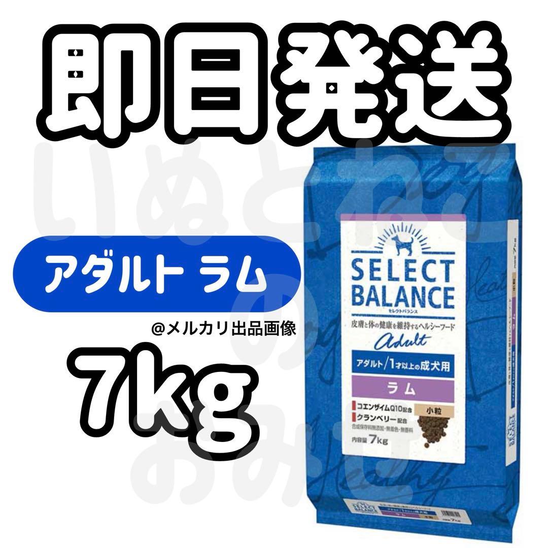 【7kg】セレクトバランス アダルトラム 1才以上 成犬用 ドッグフード