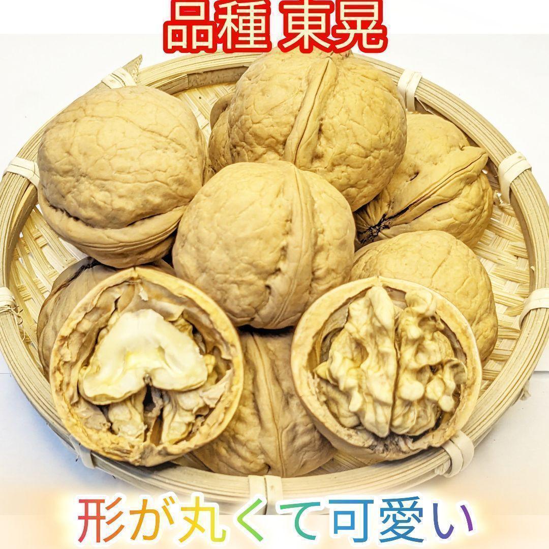 【かおりん商品】25年産 新物 国産 殻付き信濃くるみ 極小〜小 13kg