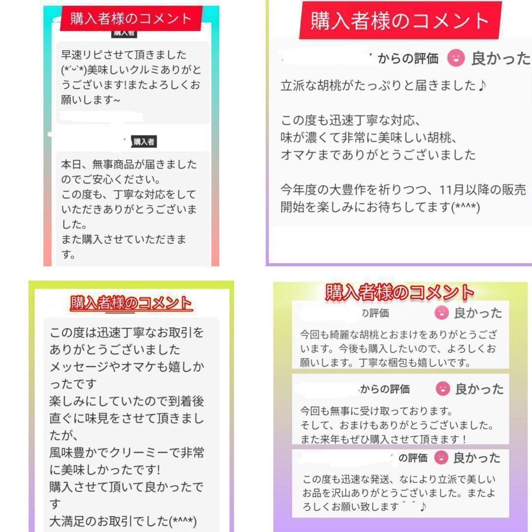 【かおりん商品】25年産 新物 国産 殻付き信濃くるみ 極小〜小 13kg