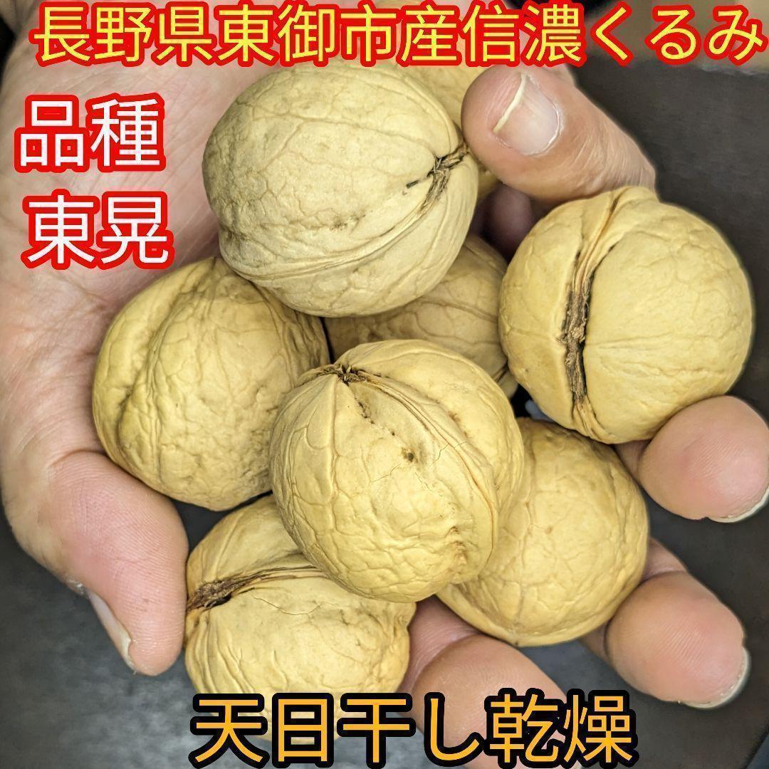 【かおりん商品】25年産 新物 国産 殻付き信濃くるみ 極小〜小 13kg