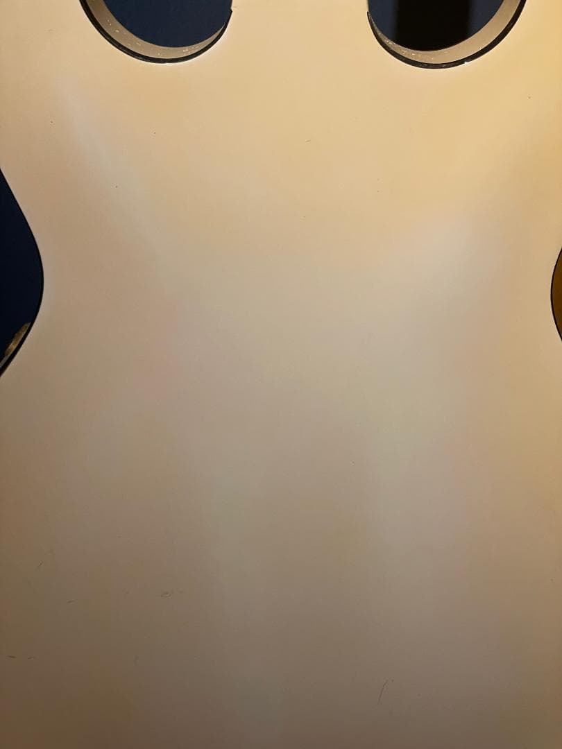 Aria Pro II TA-55　セミアコ？フルアコ？　希少動作品【1月限定】