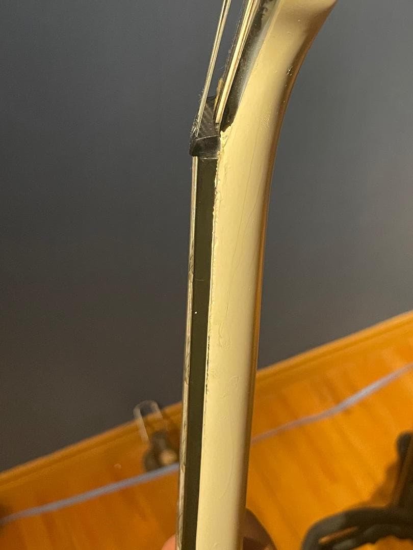 Aria Pro II TA-55　セミアコ？フルアコ？　希少動作品【1月限定】